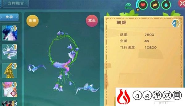 创造与魔法朝颜坐骑资质一览