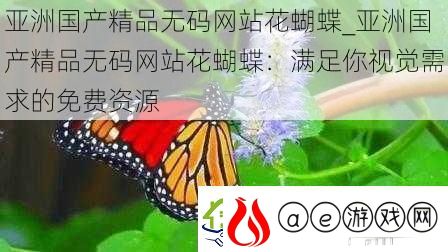 亚洲国产精品无码站花蝴蝶-亚洲国产精品无码站花蝴蝶：满足你视觉需求的免费资源