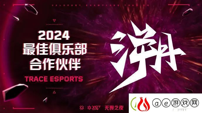 2024-VCT-CN-最佳俱乐部合作伙伴：TE无畏契约分部