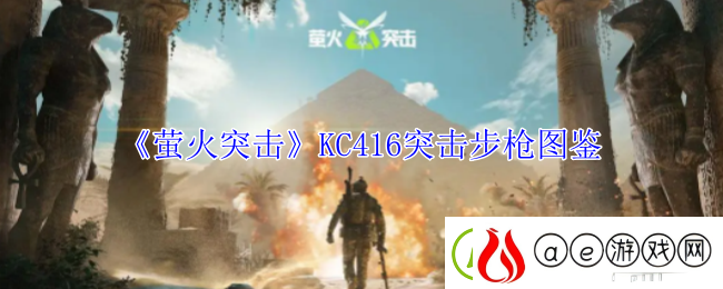 萤火突击KC416突击步枪图鉴